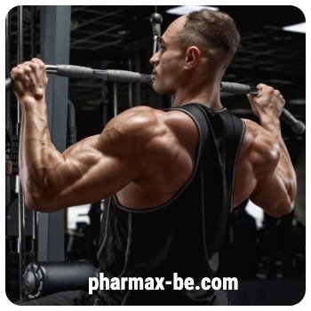 Acheter Anavar (Oxandrolone) en Belgique