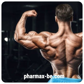 Acheter Nandrolone décanoate en Belgique 