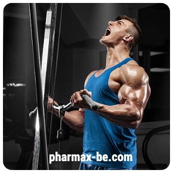 Acheter Stanozolol injectable en Belgique 