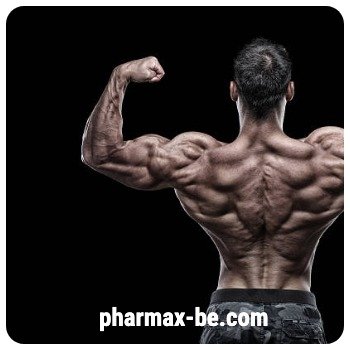 Sustanon cours , commander en Belgique 