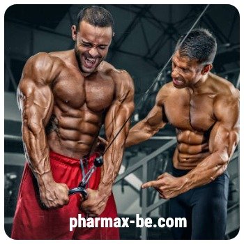 Meilleur prix pour Acétate de trenbolone en Belgiquem