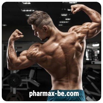 Cours Enanthate de trenbolone , commander en Belgique 